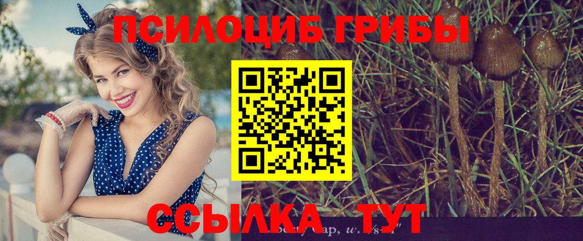 Героин  Вход с VPN  Меф МЯУ МЯУ кристаллы  Братск  Codein  LSD-25  ЭКСТАЗИ  КОКАИН  Каннабис 