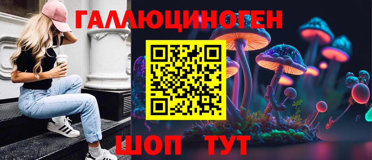Псилоцибиновые грибы Psilocybe Братск