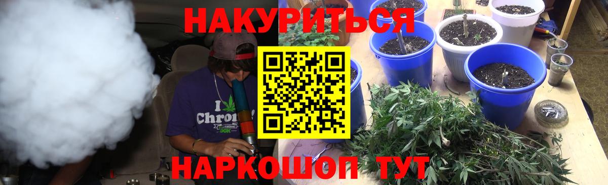 Конопля SATIVA & INDICA  Вход с VPN  Конопля Ganja  Братск  Канабис ГИДРОПОН 
